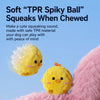 Cartoon Spiky Squeaky Ball Toy for Dogs