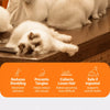 Pin Brush for Dogs and Cats