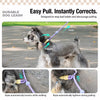 Nylon Rope Dog Leash for Walking and Training