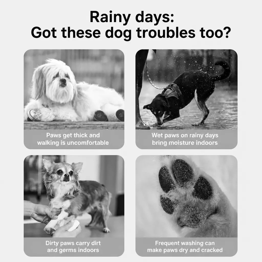 Waterproof Dog Boots for Rainy Walks