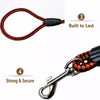 Adjustable Nylon Dog Harness and Leash Set for Everyday Walks