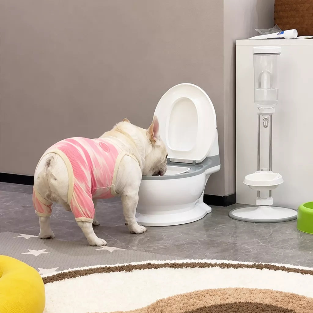 Wide-Mouth Toilet-Shaped Plastic Water Bowl for Cats
