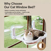 Transparent Foldable Capsule Window Cat Bed