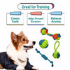 Squeaky Rope Chew Toy for Puppies and Small to Medium Dogs
