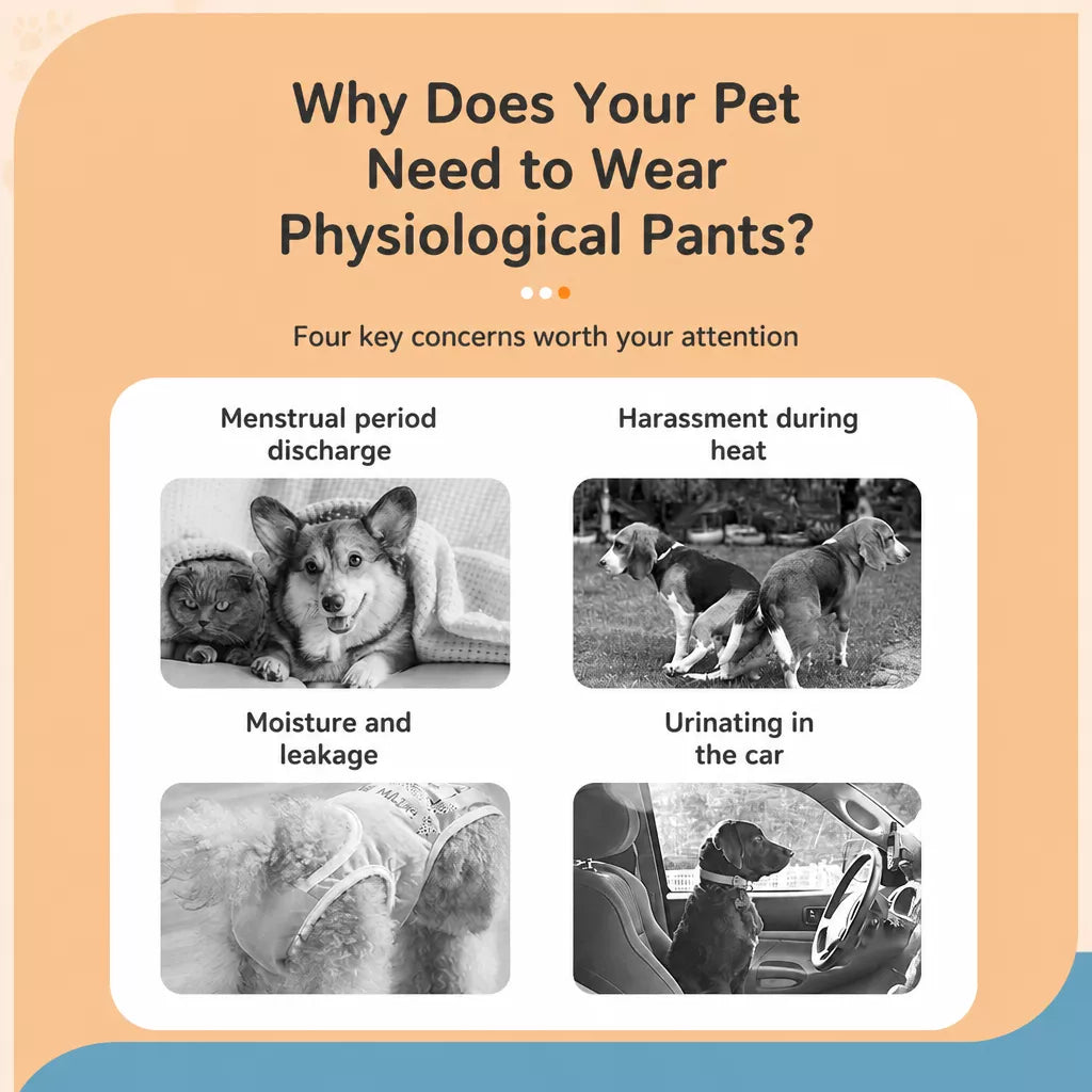 Cotton Dog Heat Pants for Female Dogs