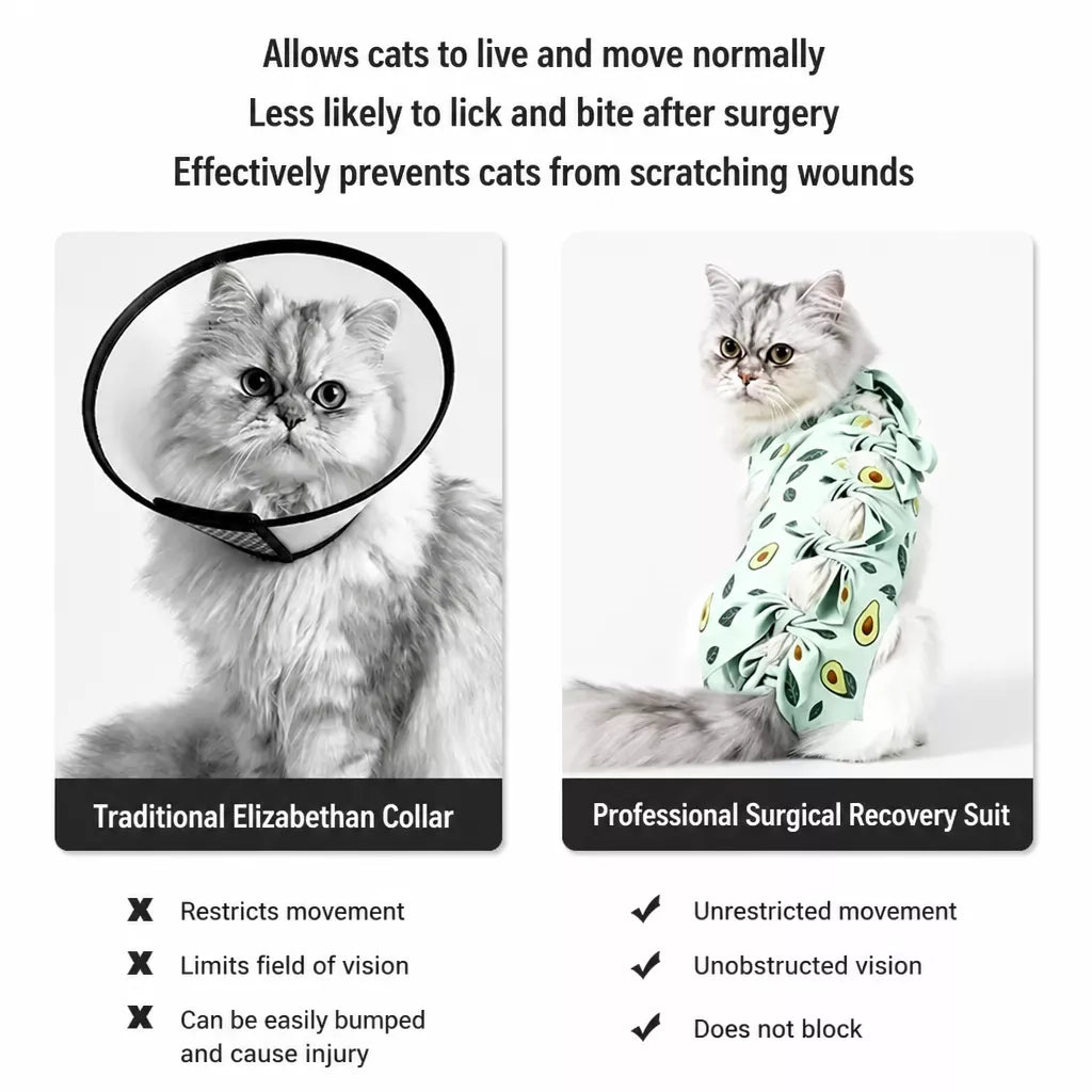 Cat Recovery Suit with Breathable Birdseye Mesh