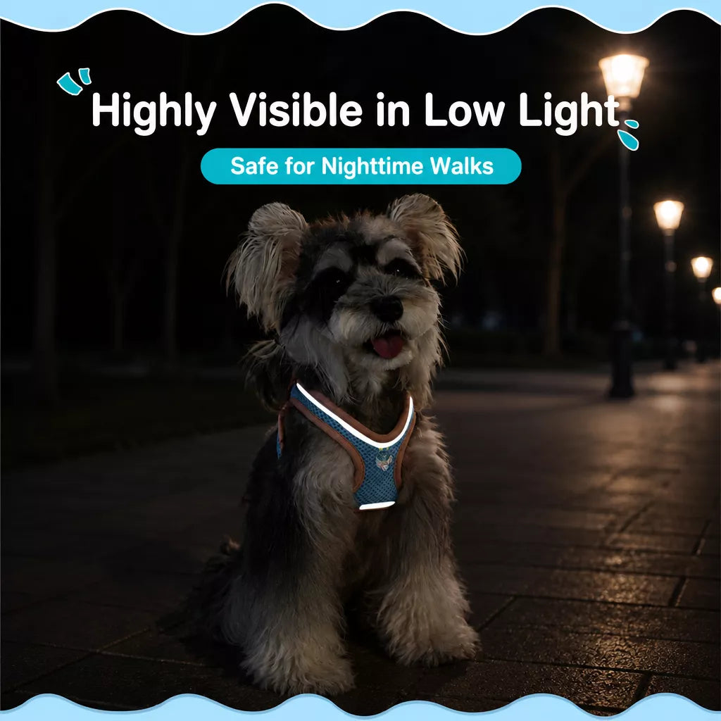 Adjustable Dog Harness with 4.6-ft Leash for Small Dogs