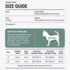 Small Dog Harness and Leash