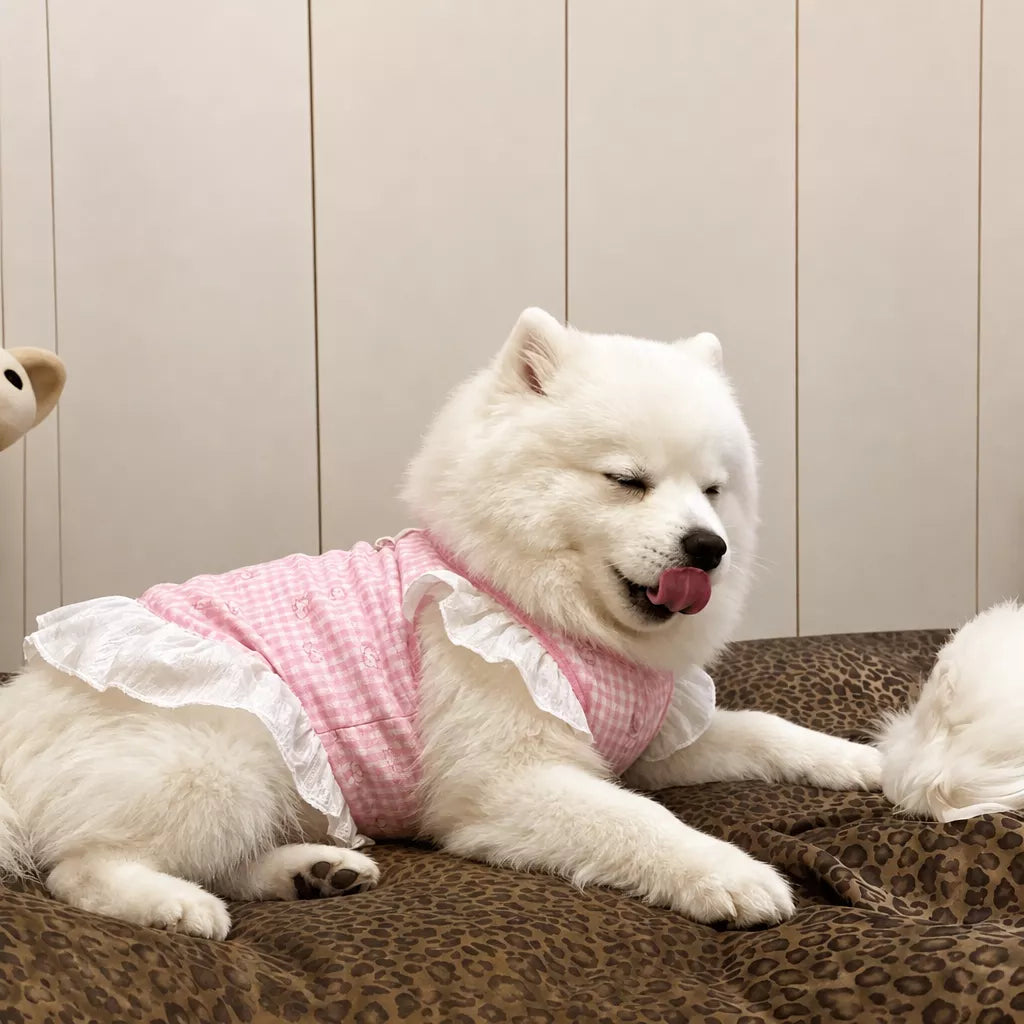 Lightweight Mesh Dog Dress for Warm-Weather Lounging