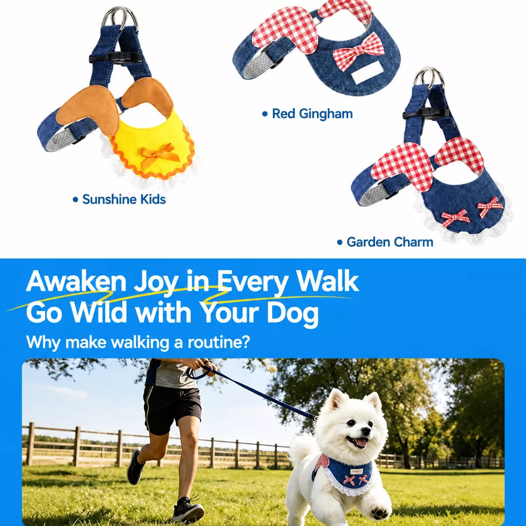 Dog Harness and Leash Set for Small to Medium Dogs
