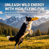 Floating Dog Flying Disc Toy for Fetch