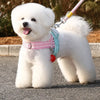 78.7-Inch Nylon Round Dog Leash for Small to Medium Dogs
