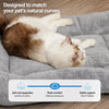 Dog & Cat Pet Bed
