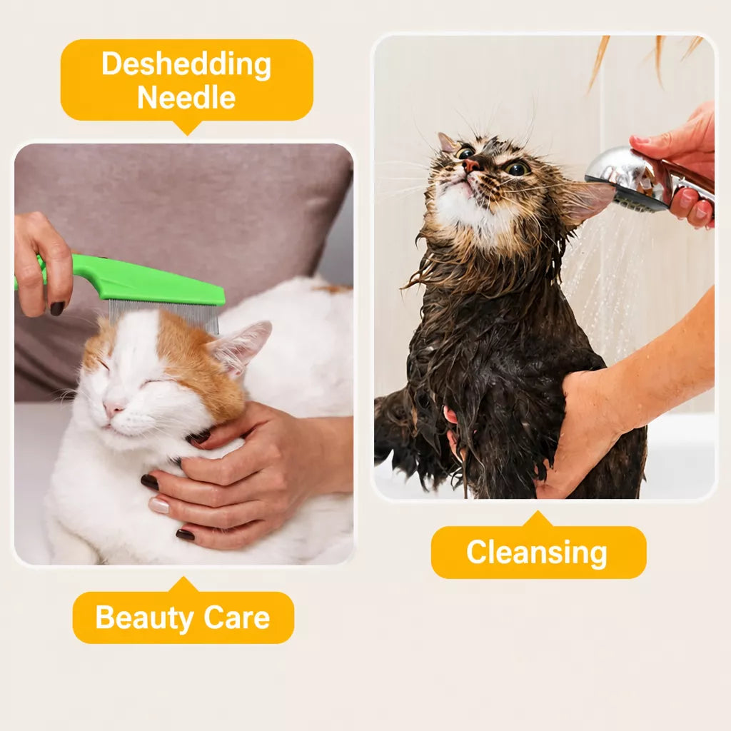 Clear Plastic Pet Recovery Cone for Cats