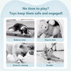 Interactive Squeaky Jumping Ball Dog Toy