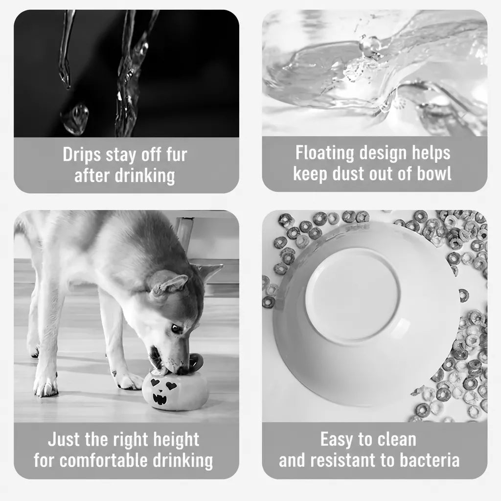 Floating Plastic Water Bowl for Dogs and Cats