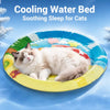 Water-Filled Cat Bed for Warm-Weather Rest