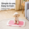 Plastic Dog Potty Tray with Mesh Grate
