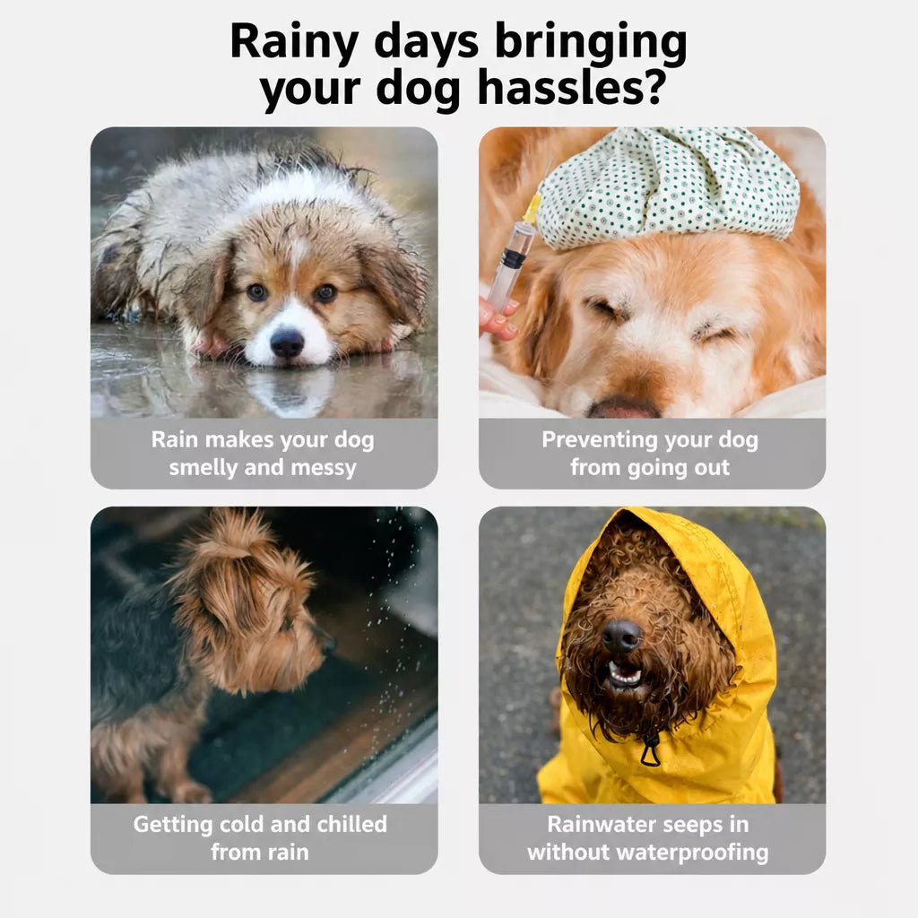 Four-Leg Waterproof Raincoat for Medium & Large Dogs