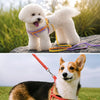 Small Dog Harness and Leash
