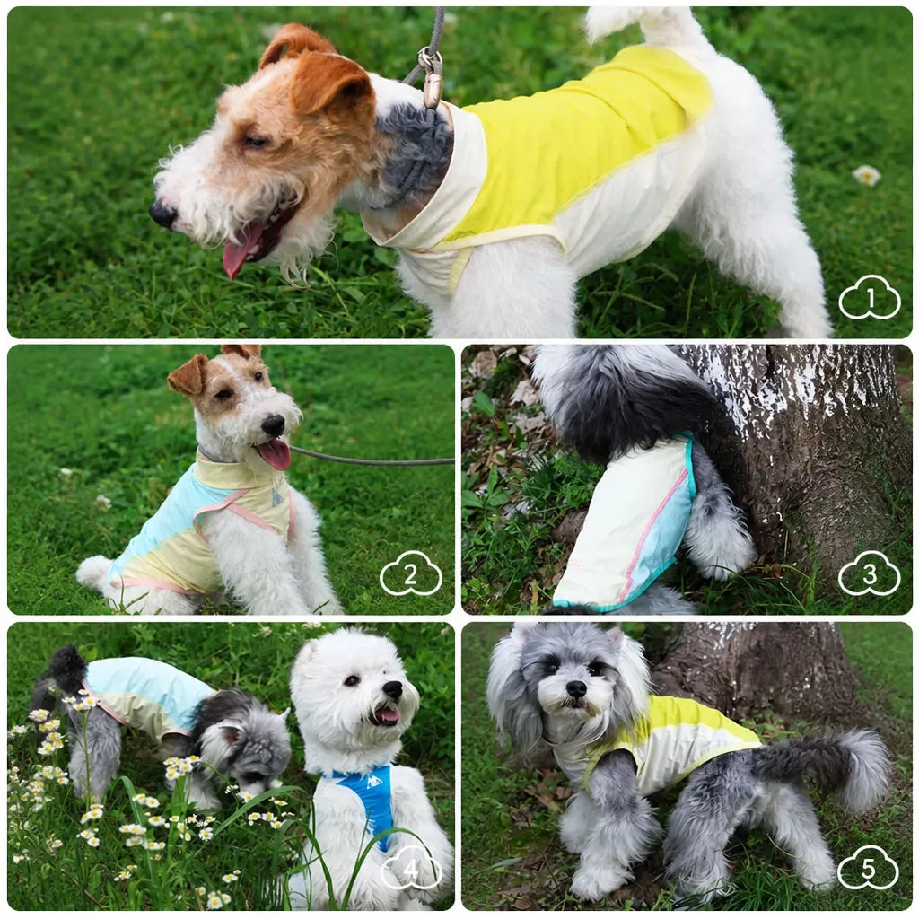 Lightweight Four-Legged Dog Summer Shirt