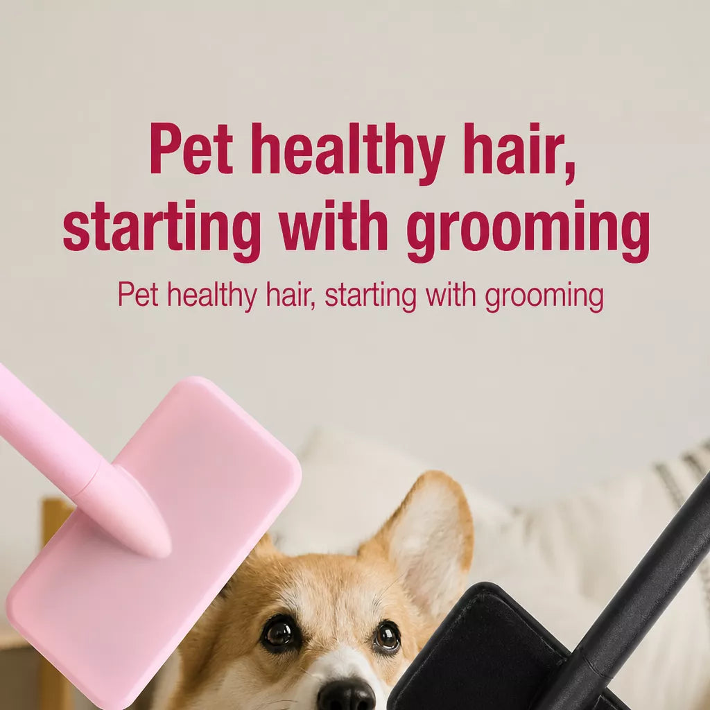 Long-Pin Pet Grooming Comb for Cats, Dogs & Rabbits