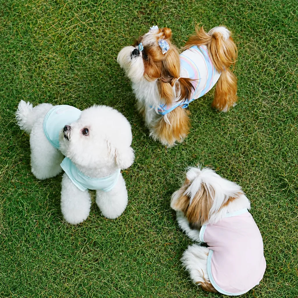 Lightweight Nylon Vest for Small and Medium Dogs