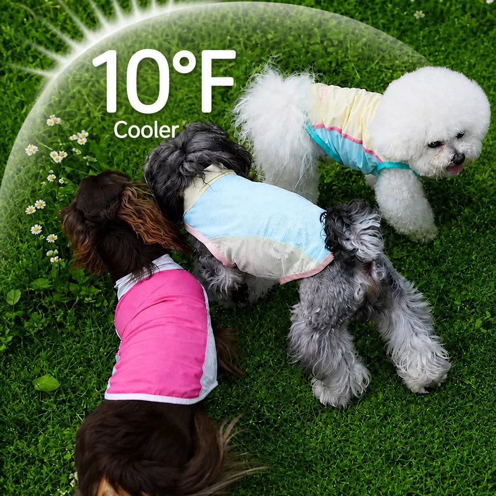Lightweight Four-Legged Dog Summer Shirt