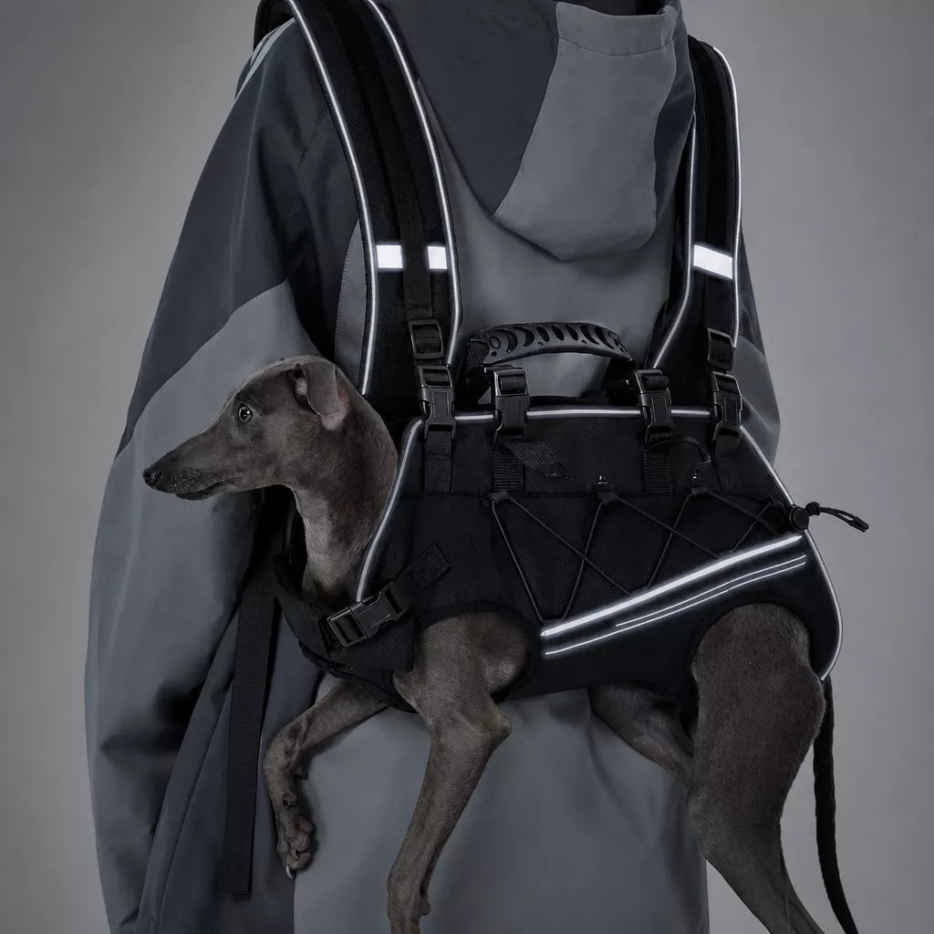Pet Side-Carry Carrier for Dogs and Cats