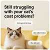 Pet Grooming Comb for Cats and Dogs