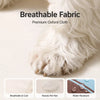 Elevated Waterproof Dog Cot Bed
