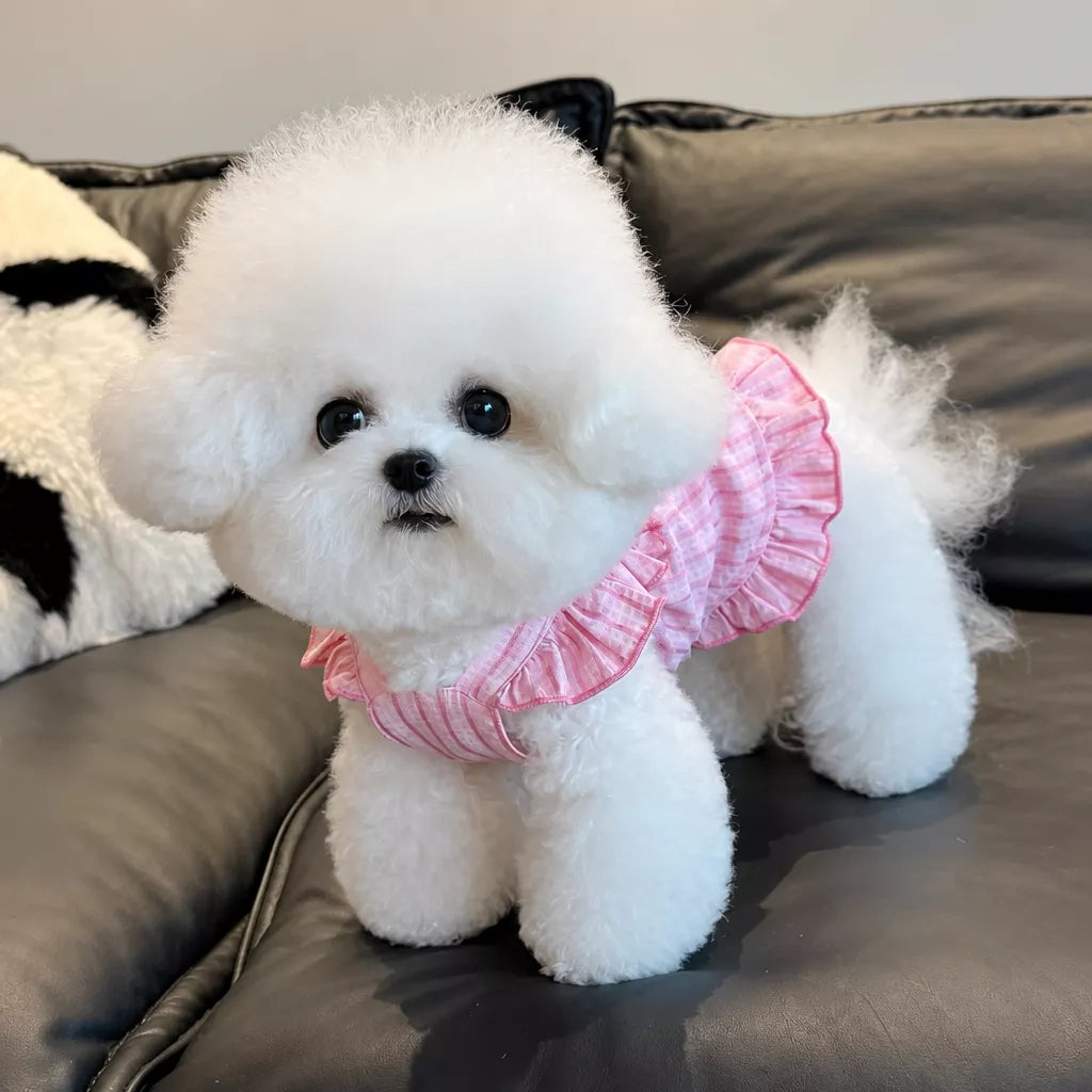 Lightweight Striped Pet Dress with Bow and Flutter Sleeves