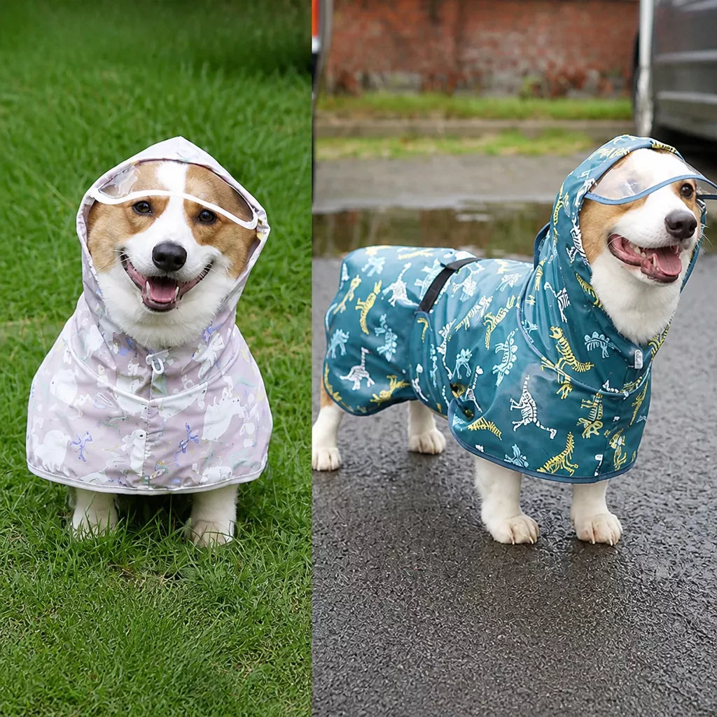 Dog Raincoat for Rainy-Day Walks