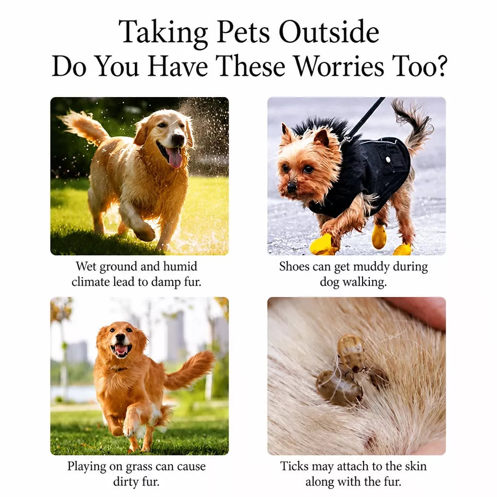 Four-Legged Outdoor Suit for Dogs & Cats