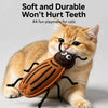 Catnip Insect Toys with Bells for Cats