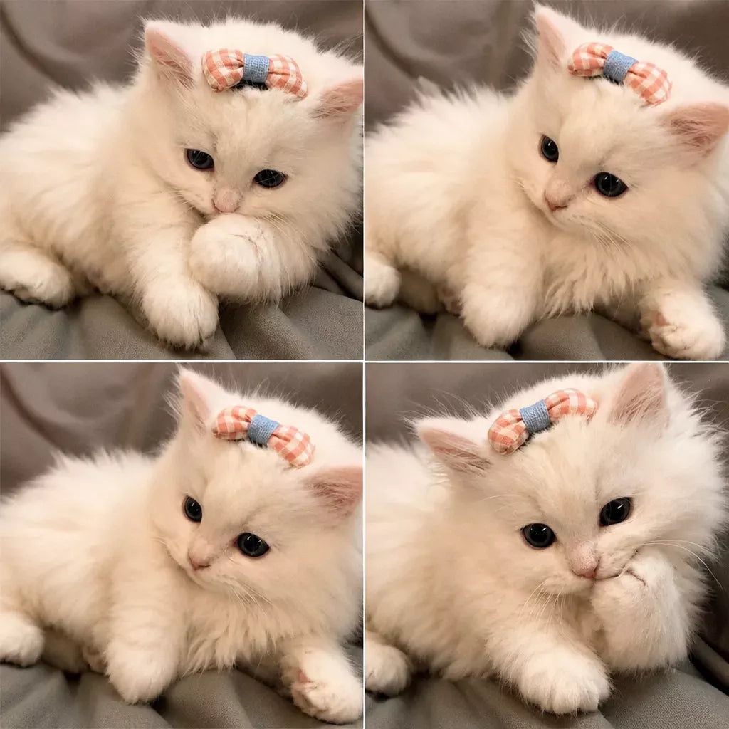 Bow Hair Clips for Cats and Small Dogs