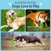 Vinyl Squeaky Dog Ball Toy