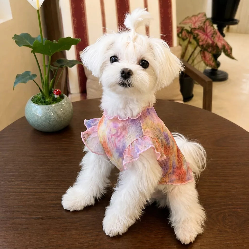 Lightweight Mesh Pet Vest for Dogs and Cats