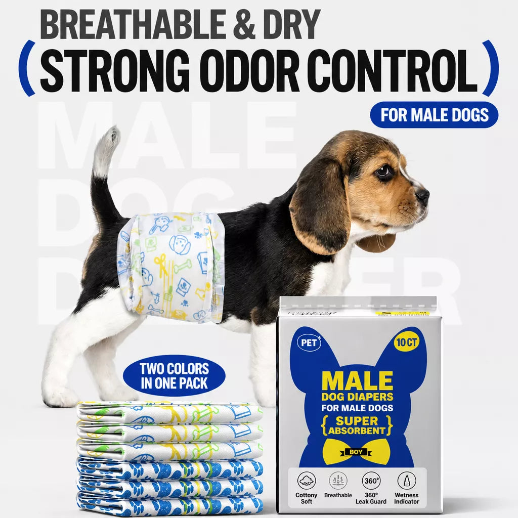 Disposable Pull-On Dog Diapers for Male and Female Dogs