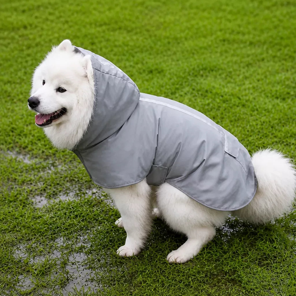 Dog Raincoat for Rainy-Day Walks