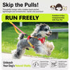 Adjustable Vest-Style Dog Harness and Leash