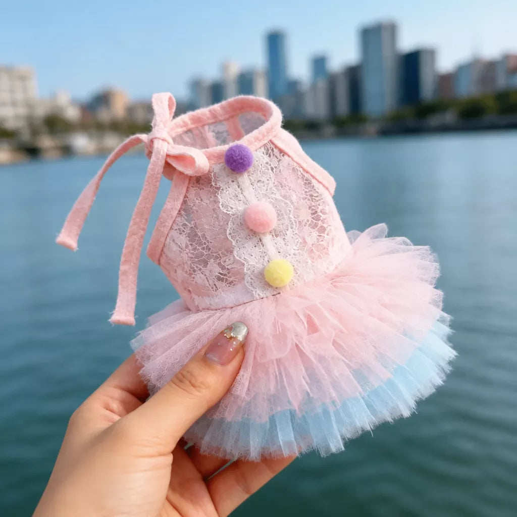 Lace Pet Dress with Gradient Full Skirt for Small Dogs and Cats