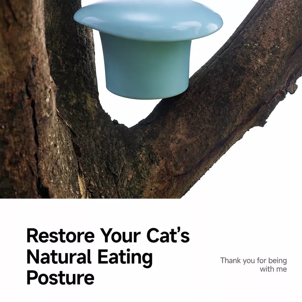 Wide-Opening Ceramic Pet Bowl for Cats and Dogs