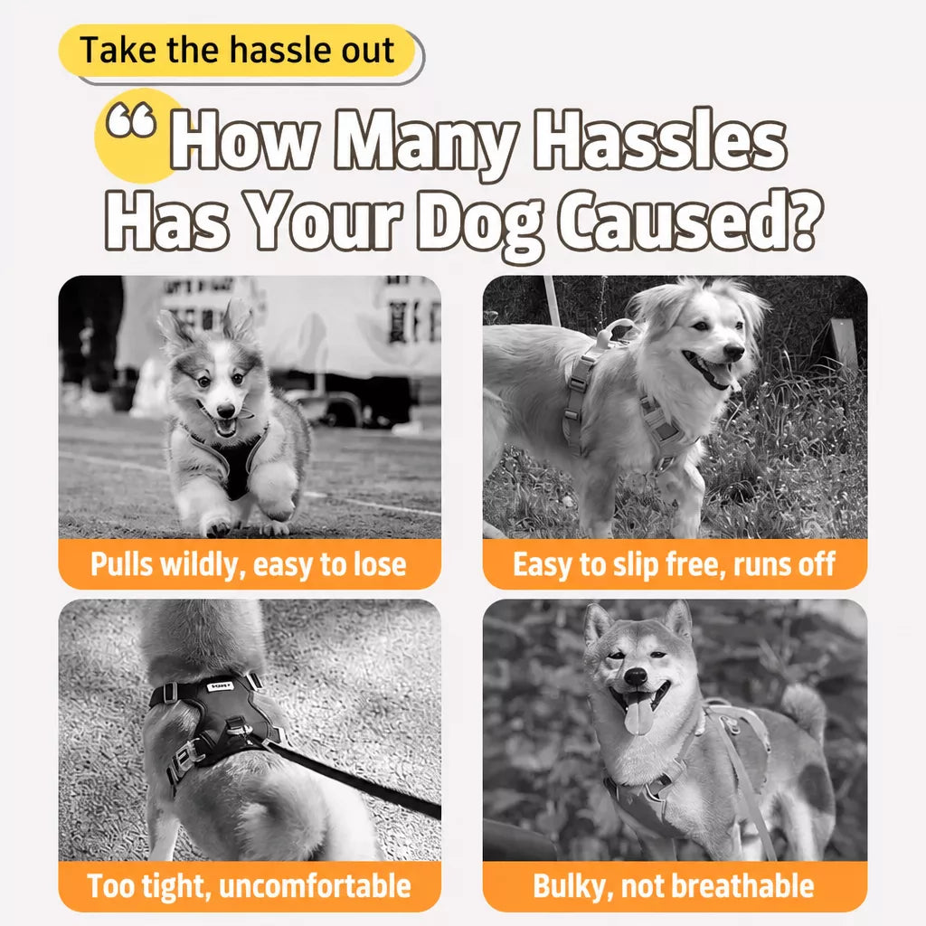 Pet Harness Vest, Leash & Hat Sets for Cats and Dogs
