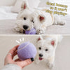 Ice Cream-Shaped Interactive Bouncy Ball Dog Toy