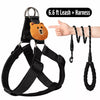 Adjustable Nylon Dog Harness with Leash Option