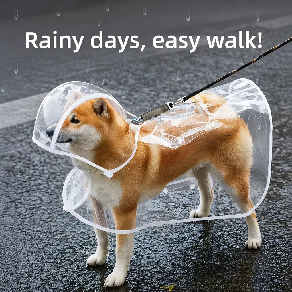 Transparent Hooded Raincoat for Dogs