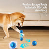 Interactive Squeaky Jumping Ball Dog Toy