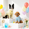 Lightweight Four-Leg Dog Shirt