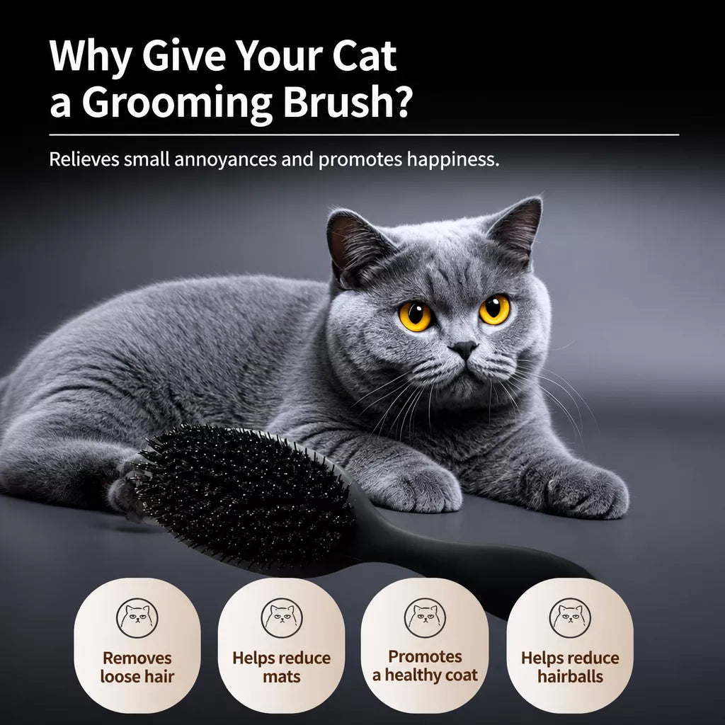 Boar Bristle Grooming Comb for Dogs and Cats